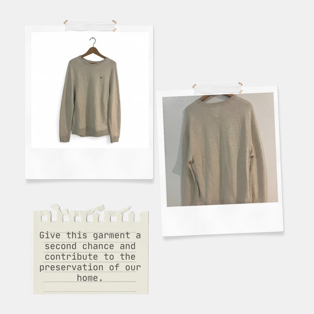 Hollister Beige Crewneck Sweatshirt Men’s Size L Classic Logo - Picture 2 of 7